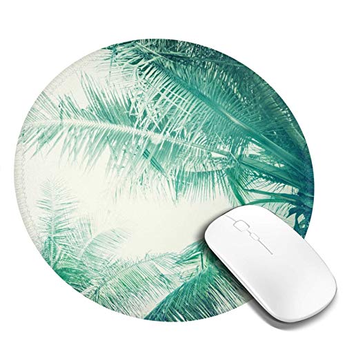 DADABULIU }EXpbh ~` ` i  V̖ V  Q[~O S w}EXΉ ~ ϋvǂ  킢 h TCo[JtF ItBXœK Kxȕ\ʖC aF20cm