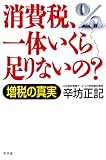 消費税、一体いくら足りないの？　増税の真実