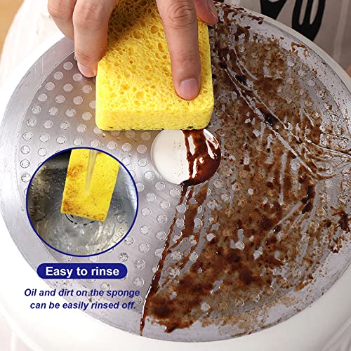 Save 50% on CELOX 12 Pack Compressed Wood Pulp Sponges - Image 4