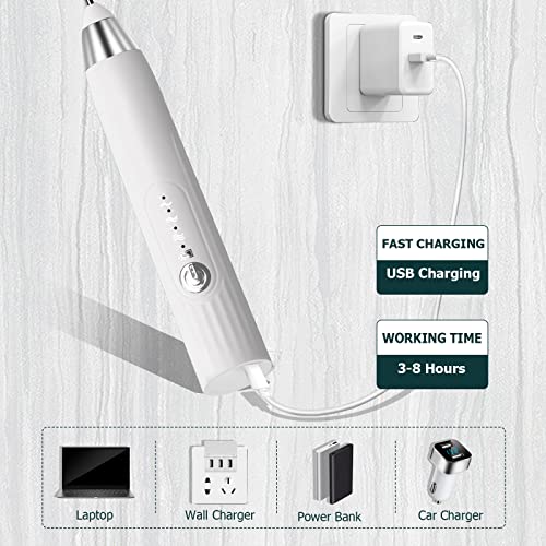 milchaufschäumer elektrisch stab, USB wiederaufladbar milchschäumer elektrisch, elektrischer schneebesen 3 einstellbare geschwindigkeiten edelstahl für kaffee cappuccino latte (Silberweiß)