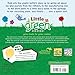 The Adventures of a Plastic Bottle: A Story About Recycling (Little Green Books)