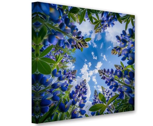 Texas Bluebonnet Wall Art 48x48 Extra Large Canvas Poster &ndash; Scenic Wildflower Garden Photography, Nature-Inspired Floral Artwork, Blue Flowers Against the Sky, Springtime Outdoor Botanical Home Decor