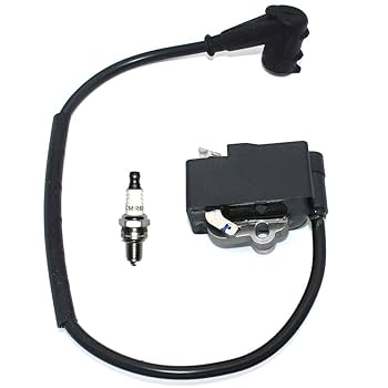 Amazon.com: Ignition Coil Module With Spark Plug CMR6H For