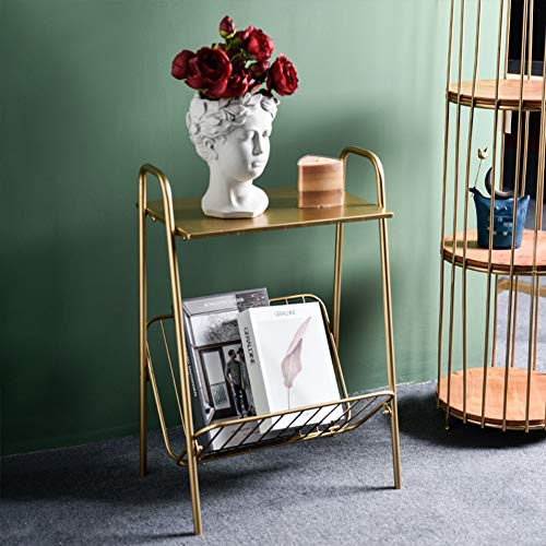 Lita Gold Modern Rectangular Metal Side Table,Two-Story End-Table With Magazine Storage For Bedroom,Living Room,Bedside Table #TOP5