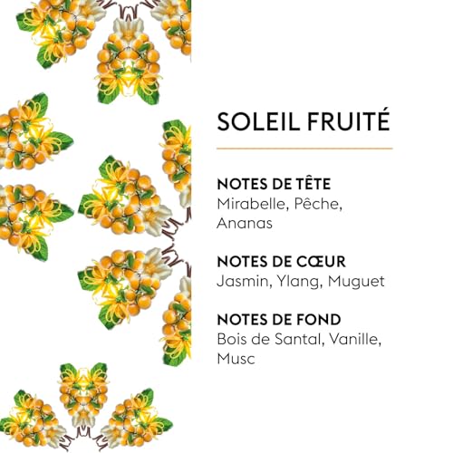 Image of MAISON BERGER Car Diffuser Refill Set, Fruity Sun | Plum Peach Pineapple Notes, 2 Ceramic Inserts, Fits MAISON BERGER Vent Clips, 4-Week Diffusion, Made in France