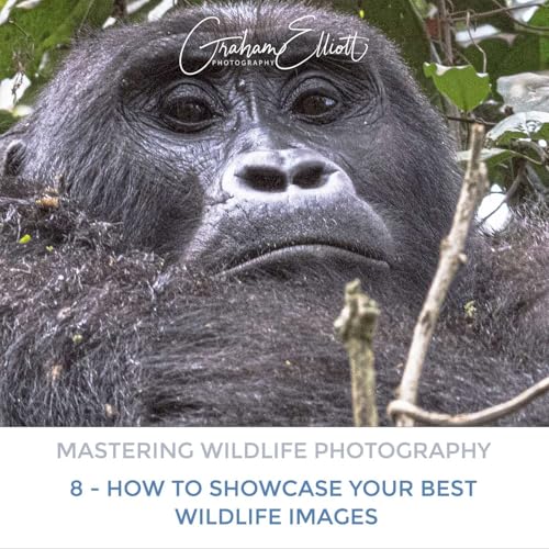 Mastering Wildlife Photography Part 8: How to showcase your best images Podcast Por arte de portada