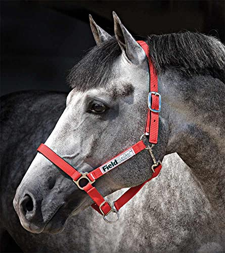 Licol Horseware Field Safe Pony rouge matériel de sécurité paddock