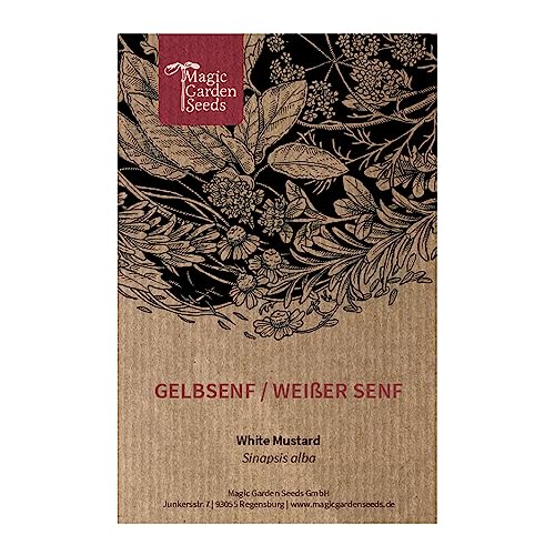 Moutarde jaune / Moutarde blanche (Sinapsis alba) - environ 4000 graines