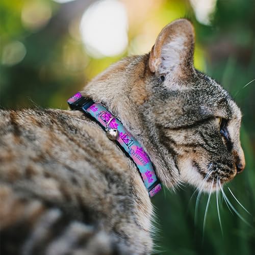 Collar de gato breakaway evita enganches con cierre de seguridad 3