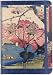2014 Cherry Trees 16-Month Weekly Planner (Compact Engagement Calendar, Diary)