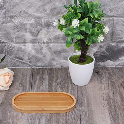 Jkpower Oval Shape Bamboo Wood Saucer Plant Tray Mini Plant Flower Pot Stand Favor Succulent Pot Tray Simple Elegant Design Home Balcony Decor #TOP3