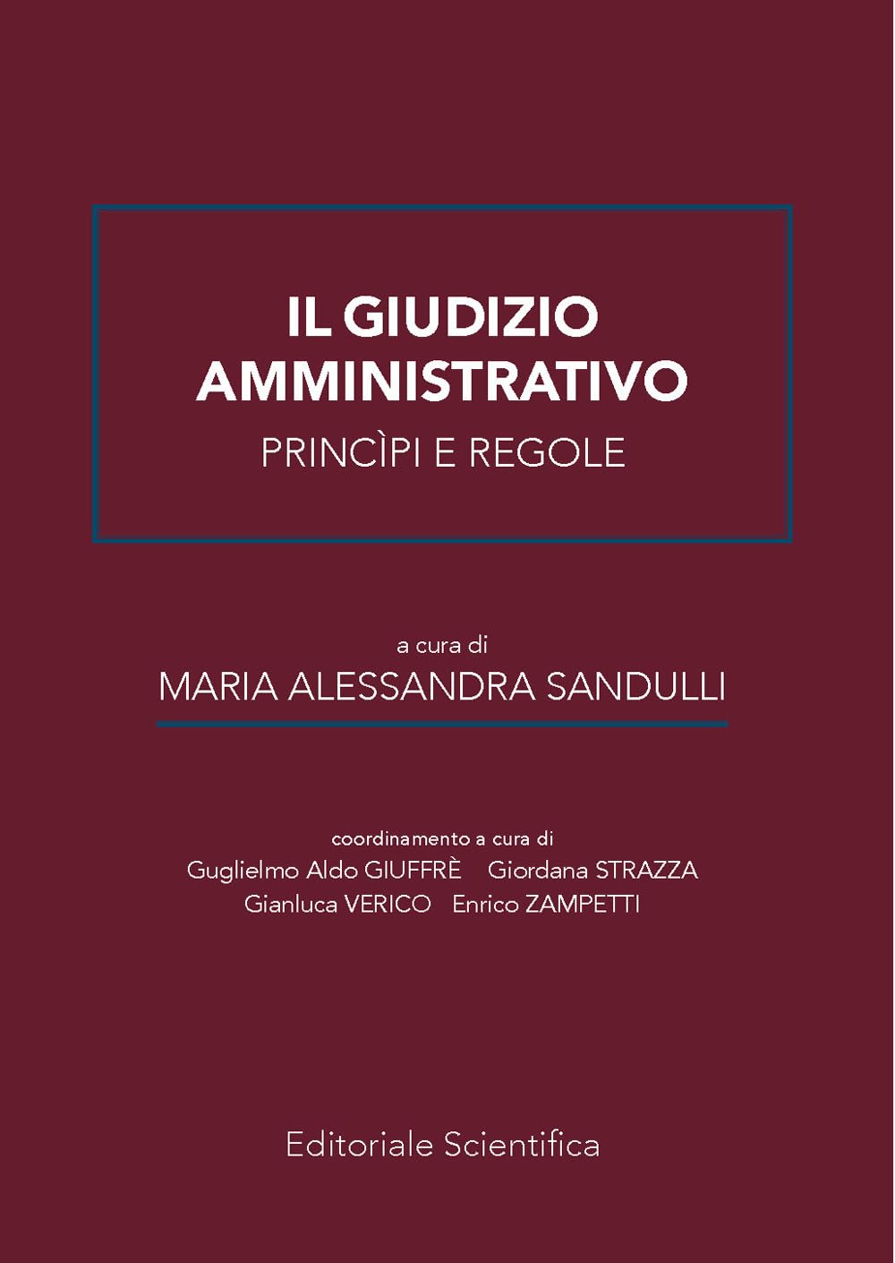 Il Giudizio Amministrativo Principi E Regole - 4