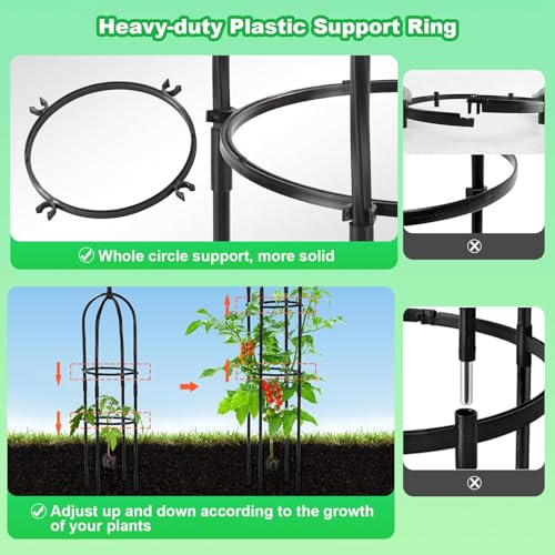 Lalahoni HJ Garden Trellis For Climbing Plants Outdoor, 2 Pack 6Ft Tall Plant Trellis Support For Potted Plants Climbing Vine Rose Clematis Vegetable Cucumber Trellis thumb #2