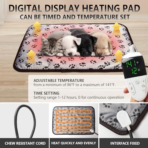 Image of Puppy Incubator with Heating - Premium Incubator for Puppies and Kittens with Adjustable Heat, to Ensure Warmth and Comfort - Ideal for Newborn Dog and Cat Care(55L)