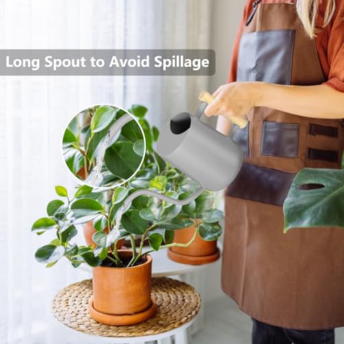 Image of Watering Can Indoor Plants, 35oz Small Indoor Stainless Steel Metal Watering Can Modern Decorative Watering Pot with Long Spout for Indoor House Plant Bonsai Garden Flowers (Gray)
