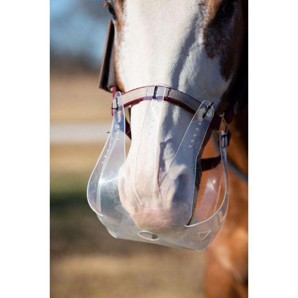 Flexible Filly Slow Feed Grazing Muzzle
