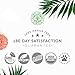 Global Healing Center Skin Therapy-Organic Ozonated Extra Virgin Olive Oil Salve for All Skin Care Routines-Cold-Pressed Face & Body Moisturizer To Hydrate and Soothe Dry Skin to Soft & Smooth-1.5 Oz