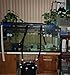 Aquarium Decor Plastic Plants Suction Cups 2 Large 1 Medium Bottles Turtles Pets Platforms Earrings Handmade