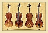 Buyenlarge Violins - Gallery Wrapped 28'X42' Canvas Print, 28' X 42'
