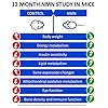 M MAAC10 1000mg Nutritional Supplement Capsule with NMN Nicotinamide Mononucleotide NAD+ Supplement, Stabilized Form…