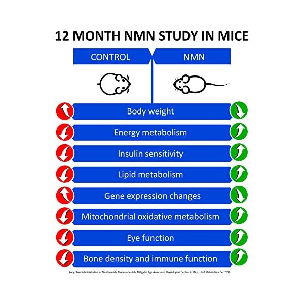 M MAAC10 1000mg Nutritional Supplement Capsule with NMN Nicotinamide Mononucleotide NAD+ Supplement, Stabilized Form…