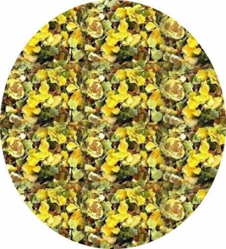 Fruit Rabbit Food Tropical Banana Mix 10kg 5kg 3kg 2kg 1.5kg 1kg 700g 450g Complete Fruity Food (Mixed - 1kg)