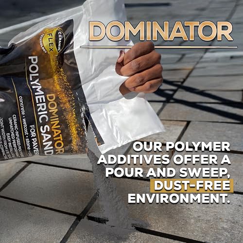 image for 10 Pound Charcoal Gray DOMINATOR Polymeric Sand with Revolutionary Cer