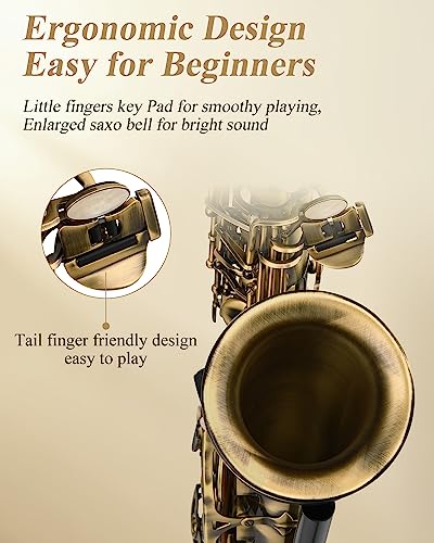 Image of Eastar Alto Saxophone Beginner E Flat, Vintage Bronze Full Kit, AS-II-Ab