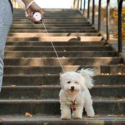 3m/9.8ft Hundeleine, Einziehbare Kleine Hunde Rollleine, Tragbar Automatische Dog Leash für Kleine Hunde, Katzen, Welpen, Kaninchen bis zu 5 kg(Arm-Band Farbe Zufällig)