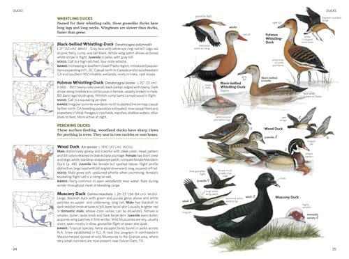 National Geographic Field Guide to the Birds of North America, 7th Edition - Image 3