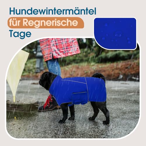 Katzinst Hundemantel Wasserdicht Große Hunde, Regenmantel Hund, Hundejacke Winter Warmer Hunderegenmantel für Große Hunde, Hundemantel Deutsche Dogge Blau 4XL
