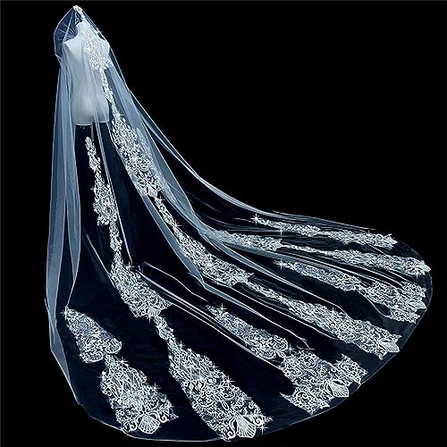 VNNHGB Kopfschmuck für Hochzeiten, 3D-Pailletten, Langer Kopfschmuck, Hochzeitsaccessoires, Bedeckungsstil (D 3,8 x 3 Reis)