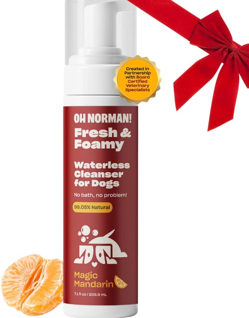 OH NORMAN! Hypoallergenic Magic Mandarin Scent Fresh and Foamy Dry Shampoo for Dogs by Kaley Cuoco – 7.1 Fl Oz Cruelty-Free Waterless Dog Shampoo No Rinse