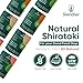 Slendier - Shirataki Variety Pack | Low Carb Pasta | Fettuccine Noodles | Shirataki Rice | No Artificial Flavors |10 Calories Per Serve | 6 Packs (Angel Hair, Fettuccine, Rice)