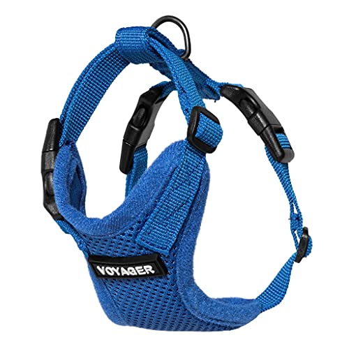 Image of Voyager Escape-Proof Step-in Lock Cat Harness & 5ft Neoprene-Handle Leash Set All-Weather Mesh with Reflective Stitching for Small to Large Cats by Best Pet Supplies, Royal Blue, XXXS