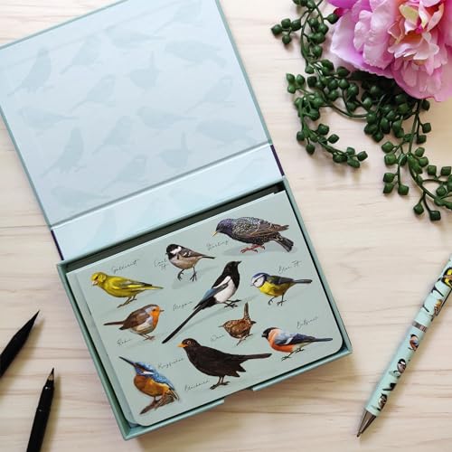 Birds Notecards and Envelope Set - Designed by Patricia MacCarthy - Image 3