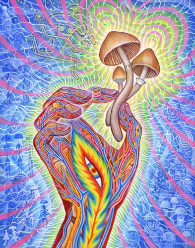 La psilocibina: medicina de los hongos sagrados