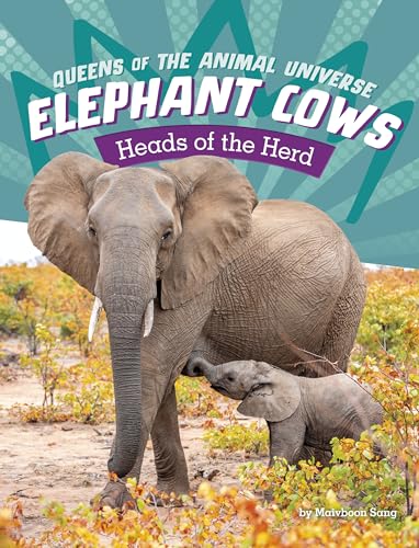 Elephant Cows: Heads of the Herd (Queens of the Animal Universe)