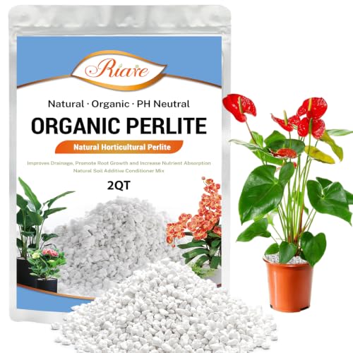 Riare 2L Organic Perlite for Plants - Horticultural Perlite Soil Amendment for Plants Potting Mix Natural Chunky Perlite Soil Additive Conditioner Improve Root Growth Drainage and Ventilation