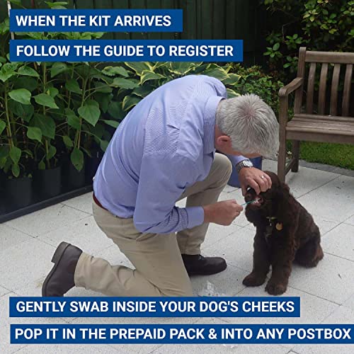 Safehaus Dog DNA Testing Kit UK - Dog Theft Register and 25 Plus Disease Health Check - Image 4