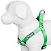 Blueberry Pet 7 Colors Step-in Classic Dog Harness, Chest Girth 15.5" - 19.5", Neon Green, Small, Adjustable Harnesses for Dogs