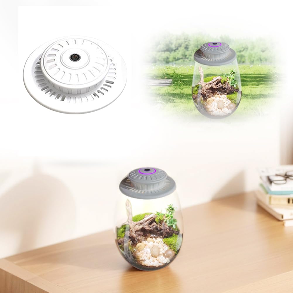 Fiorky LED Grow Light, Fern Moss Micro-Landscape Grow Light with Timer Micro Landscape Plant Growth Lamp 6500K Glass Terrarium Plant Growing Lamp for Indoor Plants Succulents Mini Bonsai