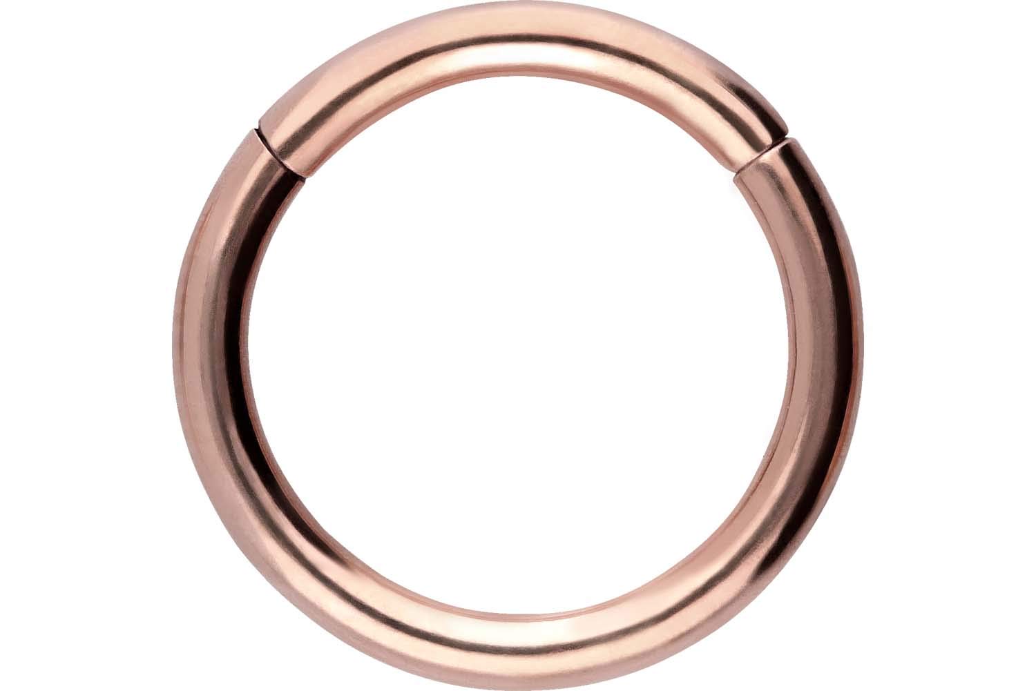 PIERCINGLINE Anillo segmento Clicker de acero quirúrgico – Piercing en oro, plata, rosa, negro o azul – para nariz, tabique, oreja, hélice o tragus — view 52