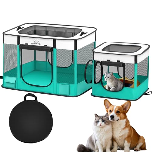 Gpaentsn |[^uLybgvCT[NA܂肽ݎL&^/OegAhx[XAbN\ȃWbp[A600DIbNXtH[h12bhA32C`x24C`x22C` qL̎qp