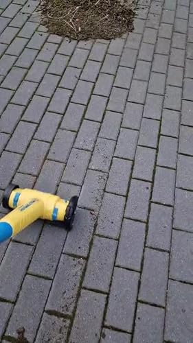 GLORIA Steel Wire Joint Brush | Accessories For MultiBrush And WeedBrush Units | Wire Brush / Brass Brush For Joint Cleaning | 11 Mm Diameter | 15 Mm Wide