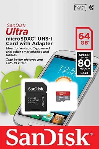 Carte MicroSDXC SanDisk High Endurance 64Go - Surveillance Vidéo 10.000h Full HD, Classe 10, Résistante Extrêmes