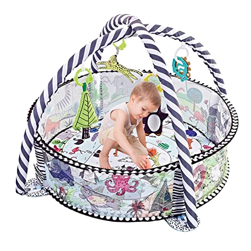 xr[W vC}bg {[sbg, ^xr[tBbglXWvC}bgAیlbgtAvCtFXtBbglXt[A݂艺5AI[V{[18 95*70*50cm {[sbgť߂̃mXbvxr[ANeBre