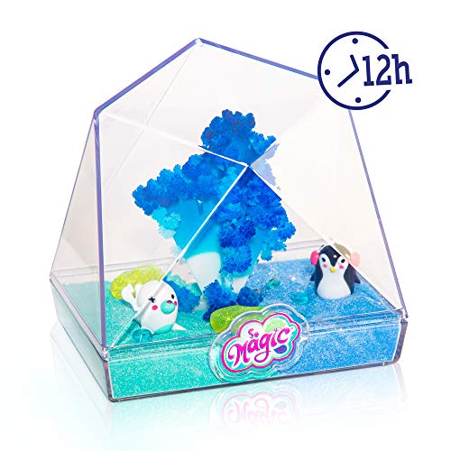 Canal Toys So Magic-Medium Terrarium-Crystal, MSG 014 - Image 7