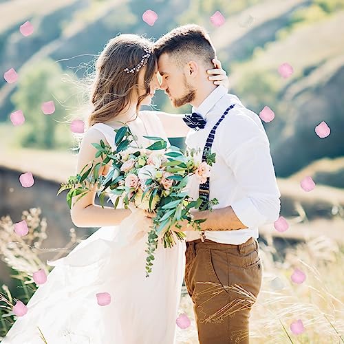 Molyorch 3000 Pezzi Petali Rosa Chiaro Matrimonio