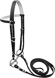 UGPLM Rédea de cavalo com correia de rédea, equipamento equestre, corda de montaria confortável e versátil para treinamento de aulas